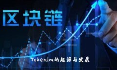  Tokenim的起源与发展
