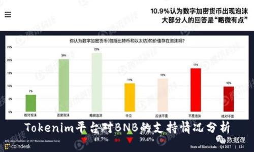 Tokenim平台对BNB的支持情况分析