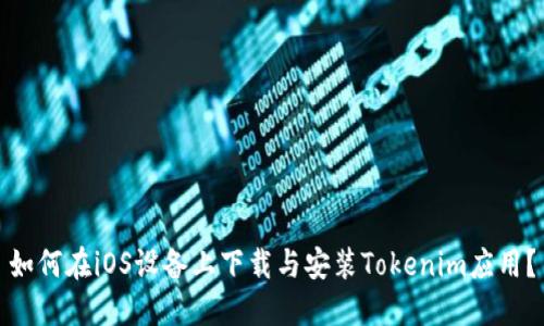 如何在iOS设备上下载与安装Tokenim应用？