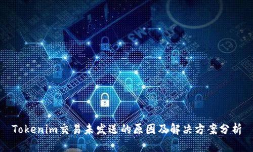 Tokenim交易未发送的原因及解决方案分析