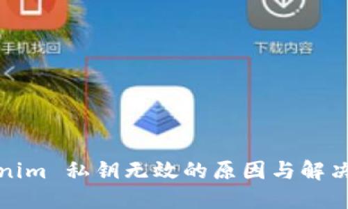 Tokenim 私钥无效的原因与解决方案