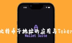 深入探讨比特币子地址的应用与TokenIM的创新