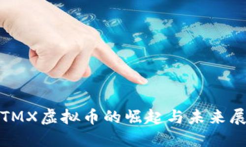 : TMX虚拟币的崛起与未来展望