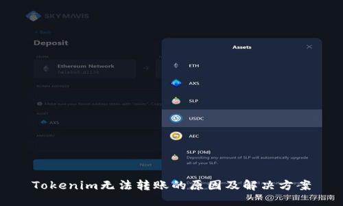 Tokenim无法转账的原因及解决方案