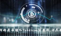 如何将屎币转入Tokenim交易所：详尽指南