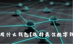 炒虚拟币用什么钱包？选择最佳数字钱包的指南