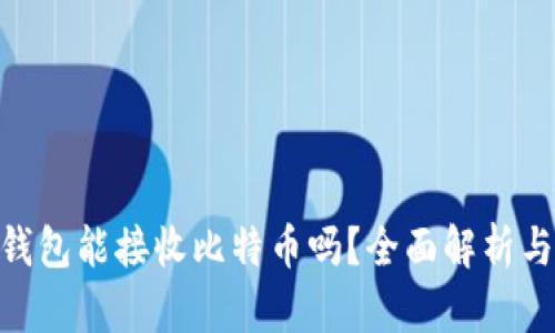 Tokenim钱包能接收比特币吗？全面解析与使用指南