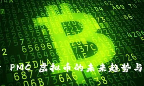 深入探索 PMC 虚拟币的未来趋势与发展潜力