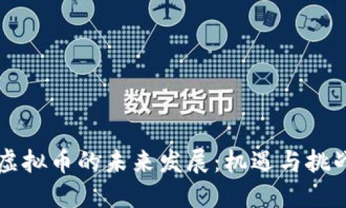虚拟币的未来发展：机遇与挑战