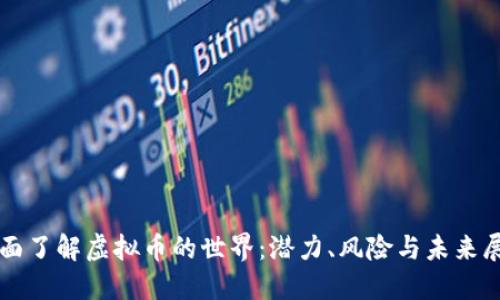 全面了解虚拟币的世界：潜力、风险与未来展望