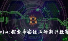 Tokenim：探索币安链上的新兴数字资产