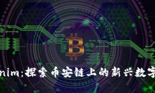 Tokenim：探索币安链上的新兴数字资产