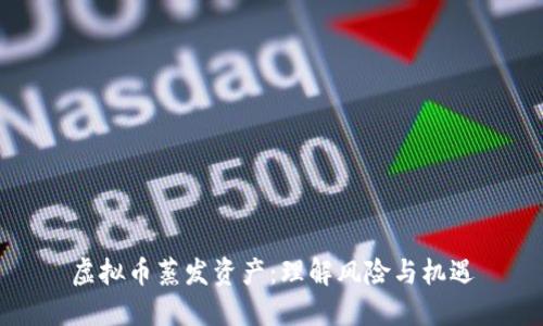 虚拟币蒸发资产：理解风险与机遇