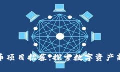 虚拟币项目招募：探索数字资产新机遇