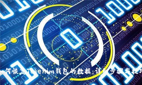 如何恢复Tokenim钱包的数据：详细步骤与技巧