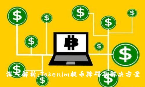 深入解析：Tokenim提币障碍及解决方案
