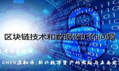 思考与关键词: CNYB虚拟币：新兴数字资产的崛起