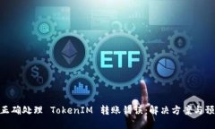 : 如何正确处理 TokenIM 转账错误：解决方案与预防