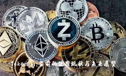Tokenim：当前的使用现状与未来展望