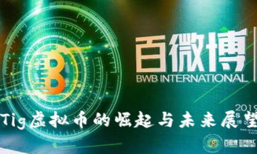 Tig虚拟币的崛起与未来展望