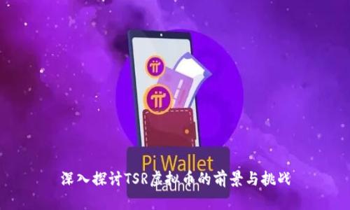 深入探讨TSR虚拟币的前景与挑战