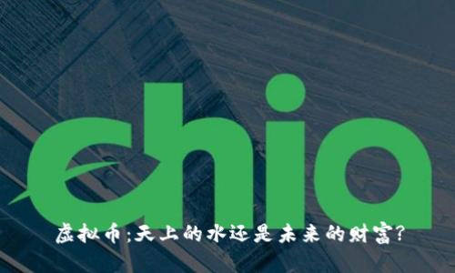 虚拟币：天上的水还是未来的财富?