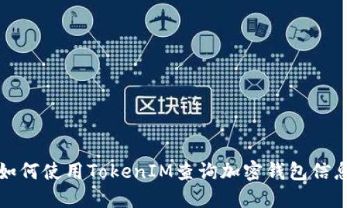 如何使用TokenIM查询加密钱包信息