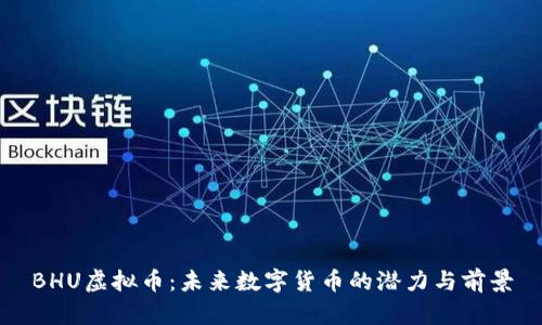 BHU虚拟币：未来数字货币的潜力与前景