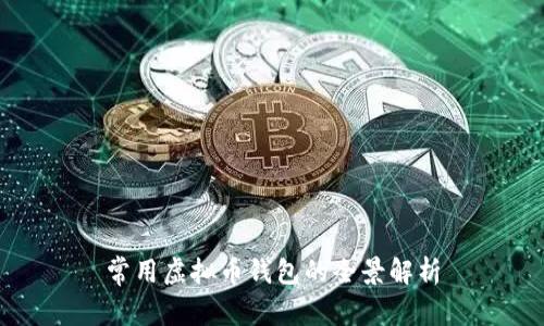 常用虚拟币钱包的全景解析