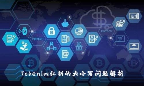 Tokenim私钥的大小写问题解析