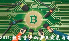 虚拟币DBM：数字资产的未来发展与前景分析