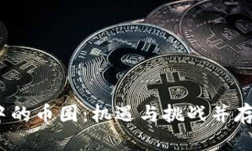  虚拟世界中的币圈：机遇与挑战并存的数字经济