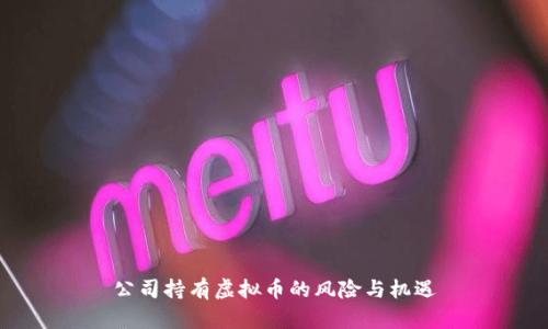 公司持有虚拟币的风险与机遇