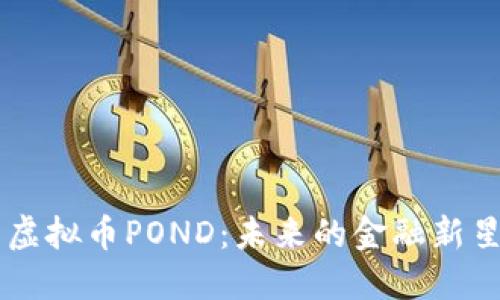 虚拟币POND：未来的金融新星