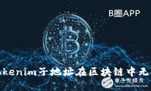 : 如何解决Tokenim子地址在区块链中无法查询的问题