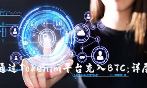 如何通过Tokenim平台充入BTC：详尽指南