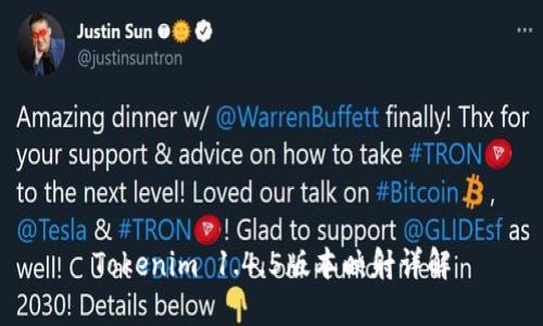 Tokenim 1.4.5版本映射详解