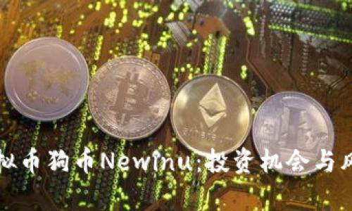 探索虚拟币狗币Newinu：投资机会与风险分析