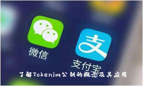 了解Tokenim公钥的概念及其应用