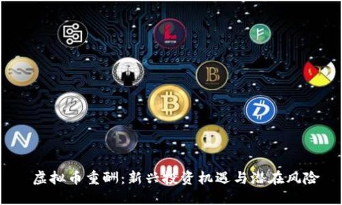  虚拟币重酬：新兴投资机遇与潜在风险