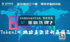 深入了解TokenIM：地址未激活的原因及解决方案