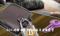 BCH：比特币现金的崛起与未来展望