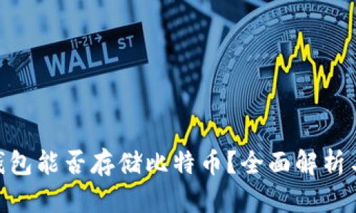 Tokenim钱包能否存储比特币？全面解析与实用指南