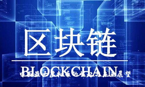  中国最大虚拟币的崛起与未来展望