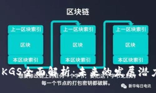  虚拟币KGS全面解析：未来的发展潜力和风险