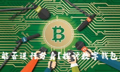 Tokenim钱包能否进行分身？探讨数字钱包隐私与安全性