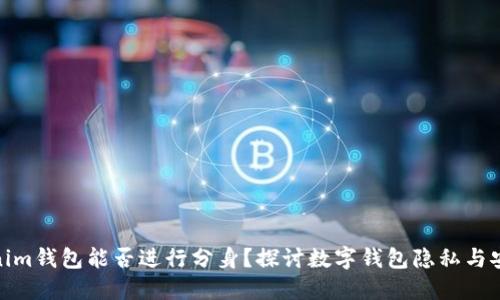 Tokenim钱包能否进行分身？探讨数字钱包隐私与安全性