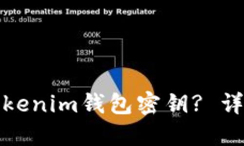 如何找回丢失的Tokenim钱包密钥? 详尽指南与解决方案