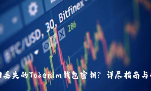 如何找回丢失的Tokenim钱包密钥? 详尽指南与解决方案