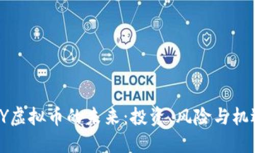 CY虚拟币的未来：投资、风险与机遇